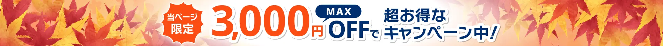 当ページ限定MAX3,000円OFFで超お得なキャンペーン中！