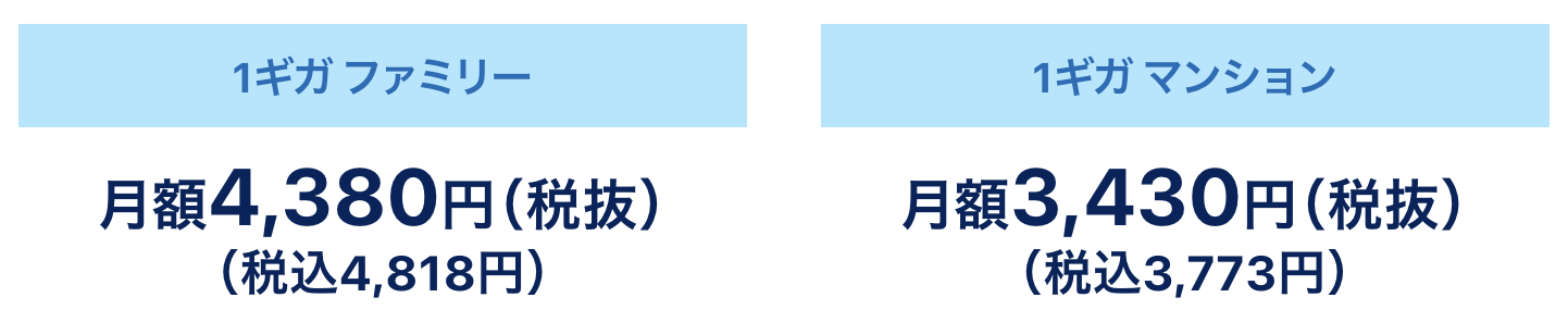 GMOとくとくBB光の料金プラン(1GB)