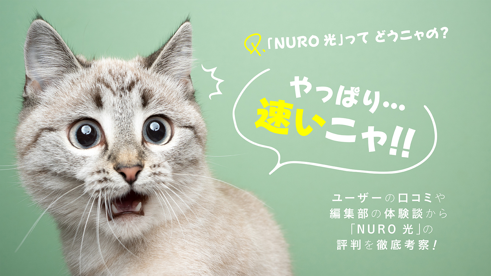 NURO光の評判は悪い？実際に契約した体験談＆177人の口コミをもとに解説