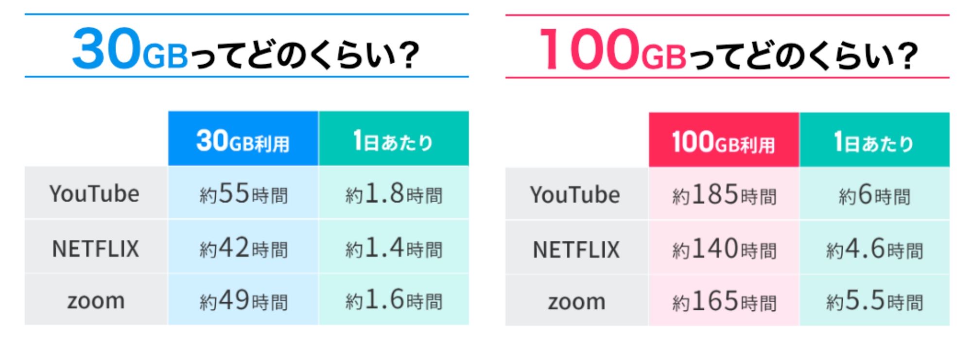 それが大事 wifi 30GB 100GB