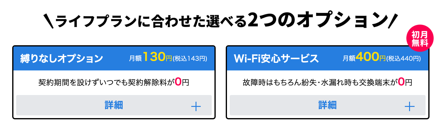 それが大事 wifi オプション