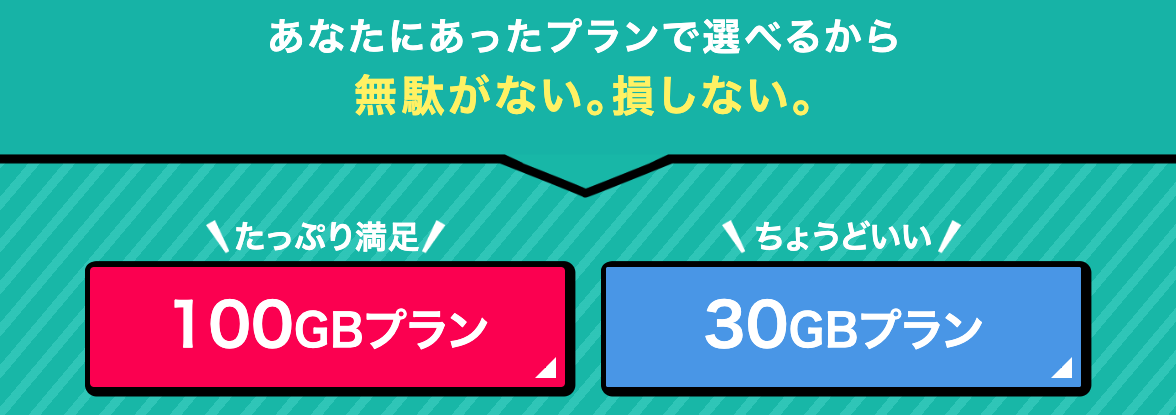 それが大事 wifi プラン