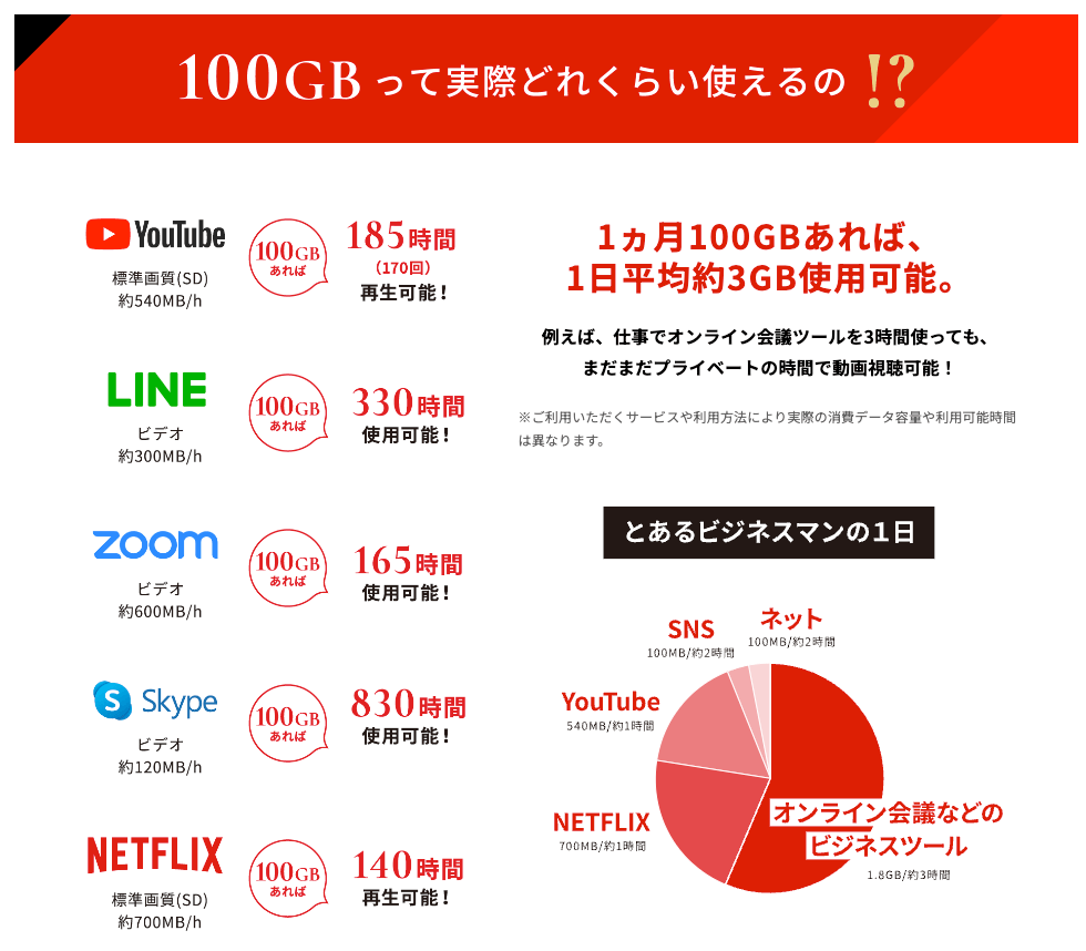 THE WiFiの100GB使用イメージ